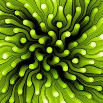 Green Sea Anemone by Anastasiya Malakhova