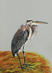 Heron von Anastasiya Malakhova