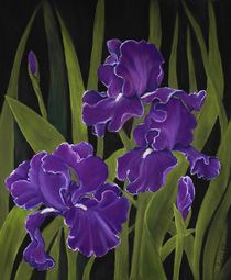 Irises von Anastasiya Malakhova