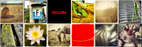 Ebulora-131010