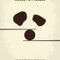 No227-my-kung-fu-panda-minimal-movie-poster
