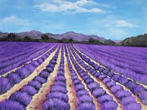 Lavender Field in Provence by Anastasiya Malakhova