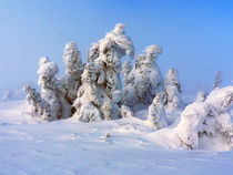 Winterzauber, magic winter by Sabine Radtke