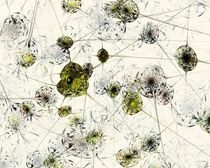Neural Network by Anastasiya Malakhova