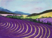 On Lavender Trail von Anastasiya Malakhova