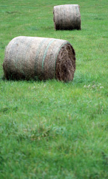 hay bale by jaybe