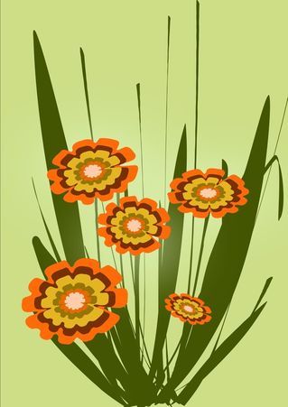 Orange-flowers-anastasiya-malakhova