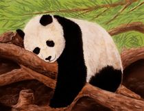 Panda by Anastasiya Malakhova
