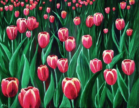 Pink-tulip-field-anastasiya-malakhova