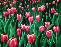 Pink Tulip Field by Anastasiya Malakhova