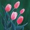 Pink-tulips-anastasiya-malakhova