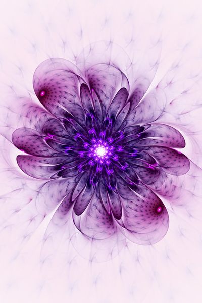 Purple-flower-anastasiya-malakhova