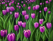 Purple Tulip Field by Anastasiya Malakhova