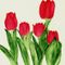 Red-tulips-anastasiya-malakhova