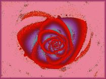 Rose Heart von Anastasiya Malakhova