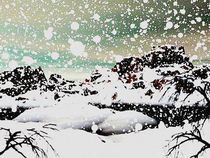 Snowfall by Anastasiya Malakhova