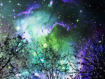 Starry Night by Anastasiya Malakhova