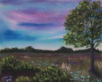 Summer Meadow von Anastasiya Malakhova