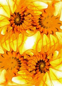 Sunflowers von Anastasiya Malakhova