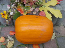 Pumpkin and Leaves by Jenny Unger