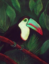 Toucan von Anastasiya Malakhova