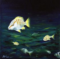 Tropical Fish by Anastasiya Malakhova