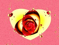 Valentine Rose by Anastasiya Malakhova