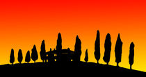 Sonnenuntergang in der Toskana von Petra Koob