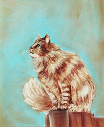 Watch Cat by Anastasiya Malakhova