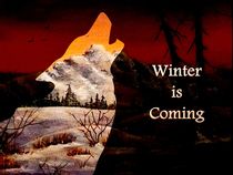Winter is Coming von Anastasiya Malakhova