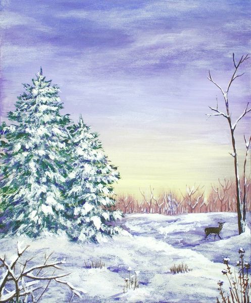 Winter-pine-trees-anastasiya-malakhova