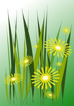 Yellow-daisies-anastasiya-malakhova