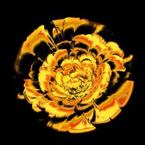 Yellow Flower von Anastasiya Malakhova