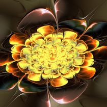 Yellow Water Lily von Anastasiya Malakhova