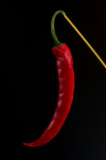 Chili Chill out by Tanja Riedel