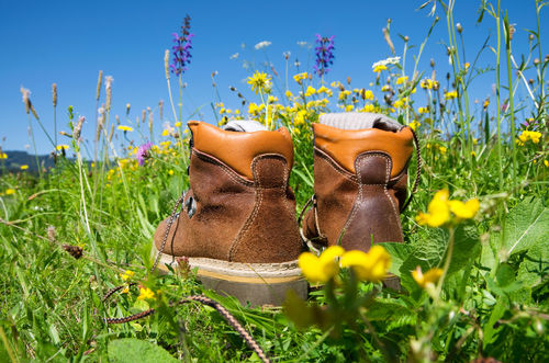 Hiking-boots-rf
