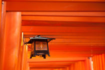 Fushimi Inari Shrine by holka