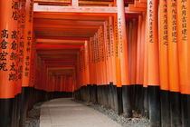 Fushimi Inari Shrine by holka