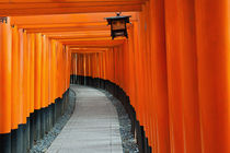 Fushimi Inari by holka