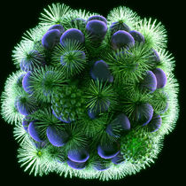 Beautiful World 2 - Koralle - Blume - Virus von Anil Kohli