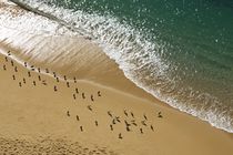 Strand und Meer von Stephan Zaun