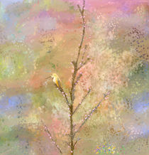 Spring in the Air with Hummingbird by Angela-A Stanton