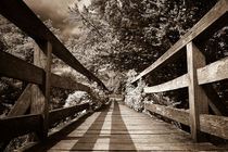 Die Brücke by foto-m-design