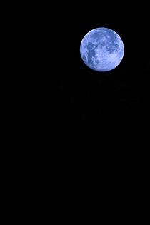 Blue Supermoon by Trish Mistric