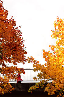 Herbstspaziergang by Bastian  Kienitz