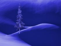 Snow Covered Tree And Mountains Night by David Dehner