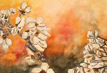 cherry blossum von Derek McCrea