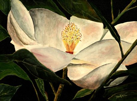 Magnolia-new-large