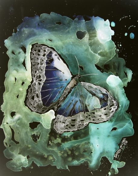 Digital-monarch-butterfly-painting2