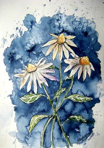 daisies by Derek McCrea